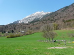 Der Staufen (1771 m) von Nonn aus gesehen.